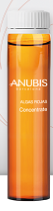 Anubis Barcelona Концентрат с экстрактом красных водорослей 1 амп. 10 мл Anti-Cellulite And Modelling Concentrate